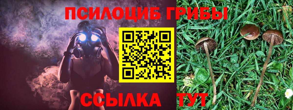 магазин продажи наркотиков  Галлюциногенные грибы ЛСД  Галлюциногенные грибы GOLDEN TEACHER  Вход с VPN  Зеленодольск 