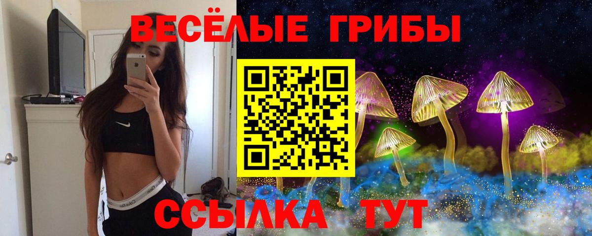 Псилоцибиновые грибы Psilocybine cubensis Зеленодольск